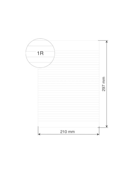 CARTA PROTOCOLLO FAVINI A4 RIGATURA 1R 60 GR 30 FF A545414