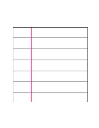 CARTA PROTOCOLLO BM A4 RIGATURA C 60 GR 200 FF 0100254