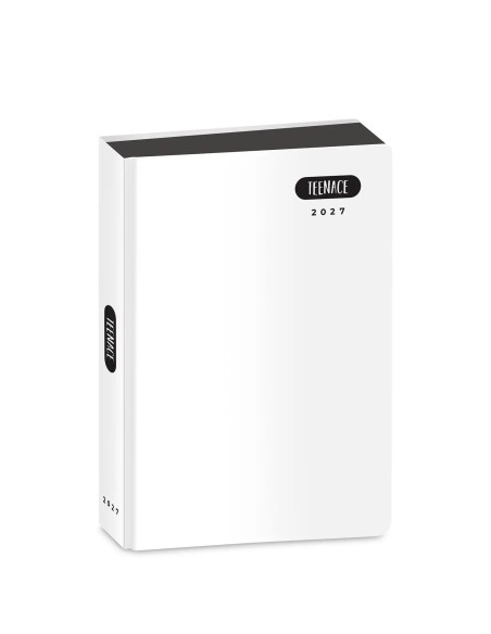 DIARIO DATATO STANDARD 12 MESI TEENACE PASTELLO 2026/2027 50E102602-000