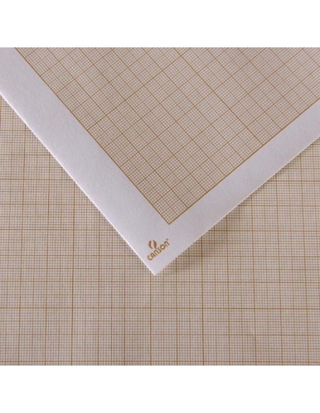 CARTA MILLIMETRATA IN ROTOLO CANSON 0,75X10 M 100 GR C200065101